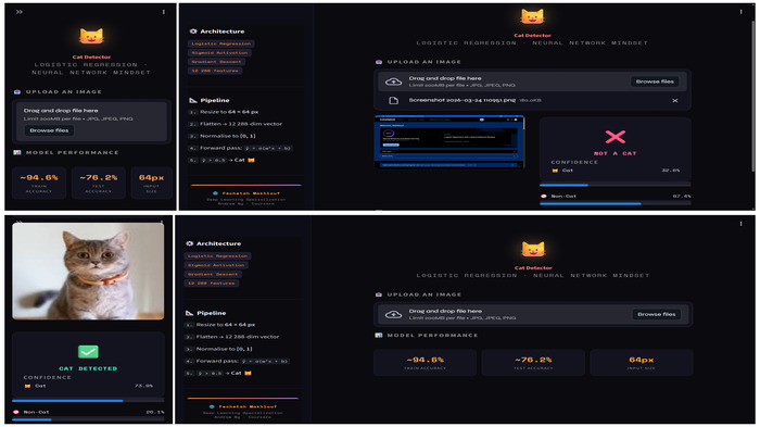 Cat vs Non-Cat Detector